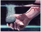 https://www.taiwan-servo.com.tw/cetacean/ezcatfiles/mvp258/img/img/18697/72-2.jpg